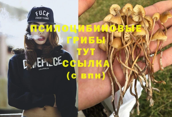 твердый Абаза