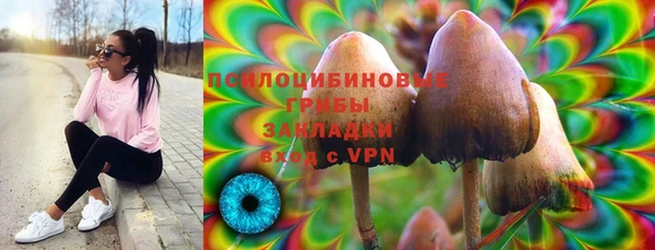 spice Алексин